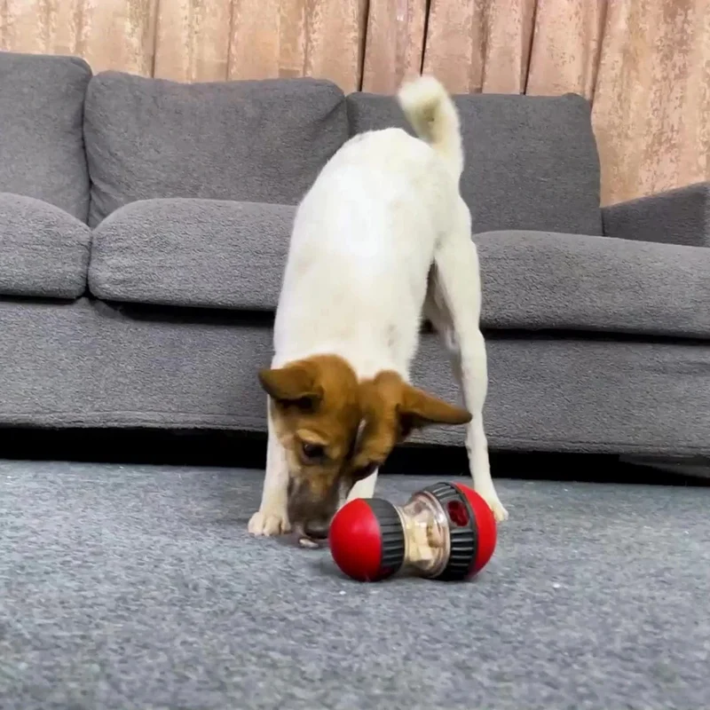 Jouet pour chien interactif et éducatif - Balle distributeur de nourriture pour chiots et petits chiens