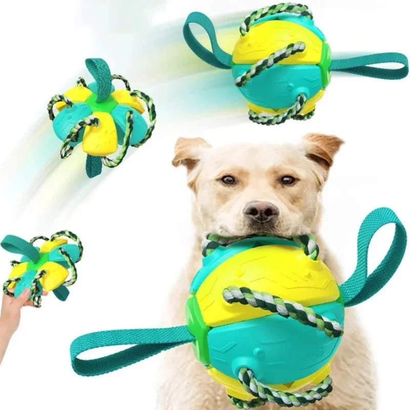Jouet pour chien multifonctionnel et interactif