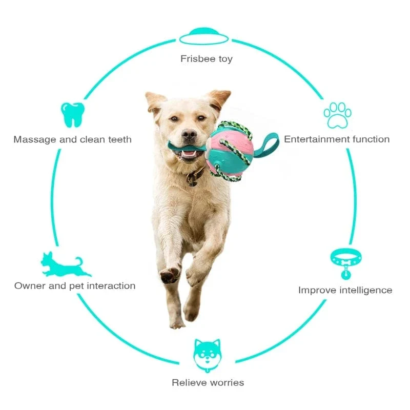 Jouet pour chien multifonctionnel et interactif