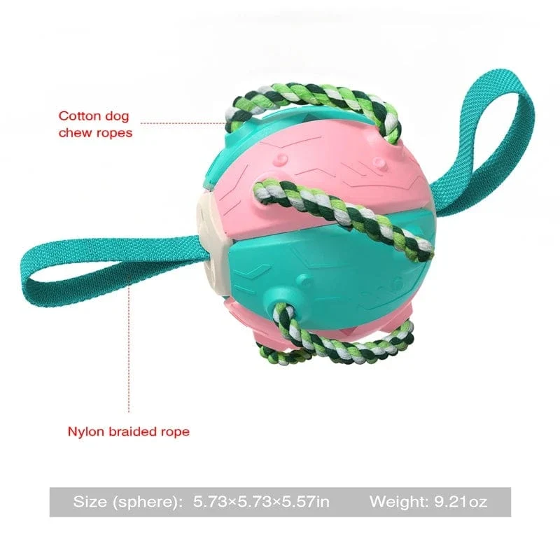 Jouet pour chien multifonctionnel et interactif