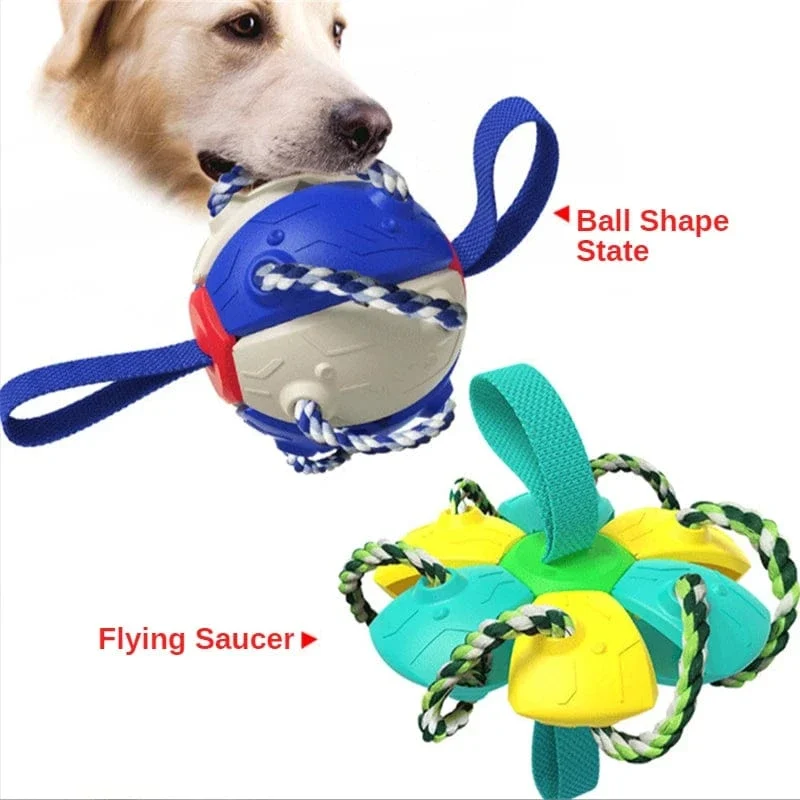 Jouet pour chien multifonctionnel et interactif
