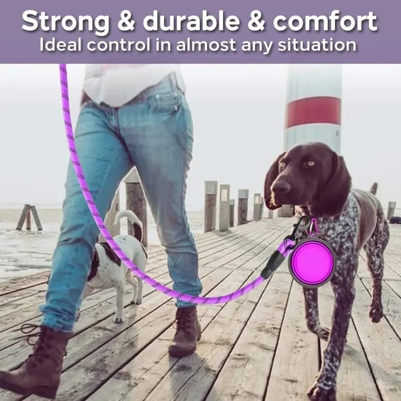 Laisse pour chien réfléchissante et robuste