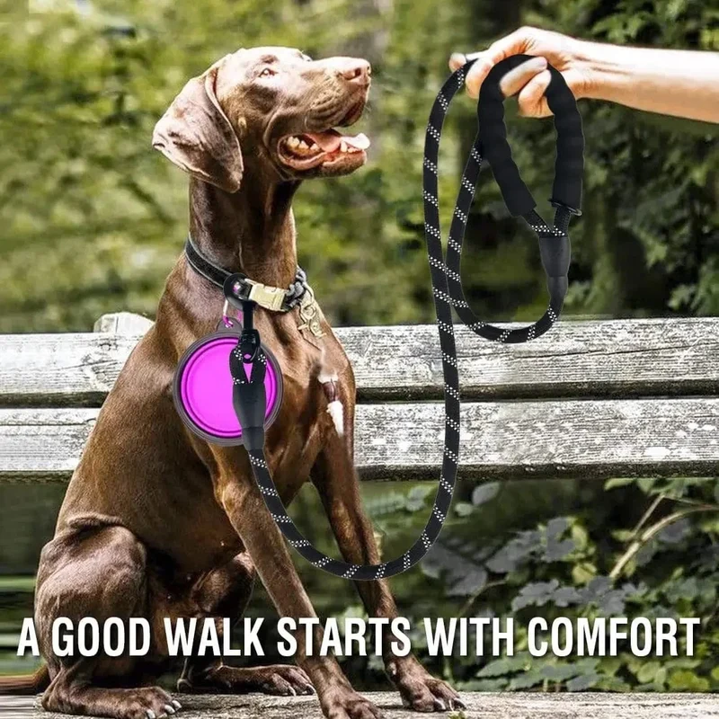 Laisse pour chien réfléchissante et robuste