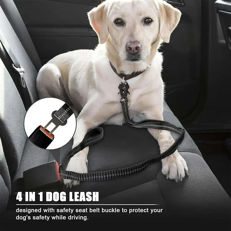 Laisse pour chien élastique absorbant les chocs avec ceinture de sécurité