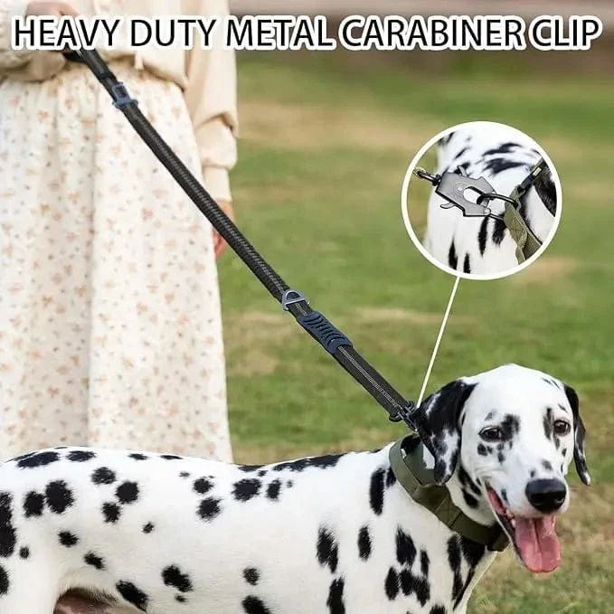 Laisse pour chien élastique absorbant les chocs avec ceinture de sécurité