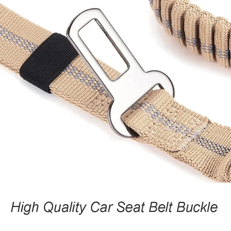 Laisse pour chien élastique absorbant les chocs avec ceinture de sécurité