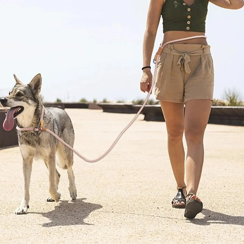 Laisse pour chien multifonctionnelle ajustable et mains libres