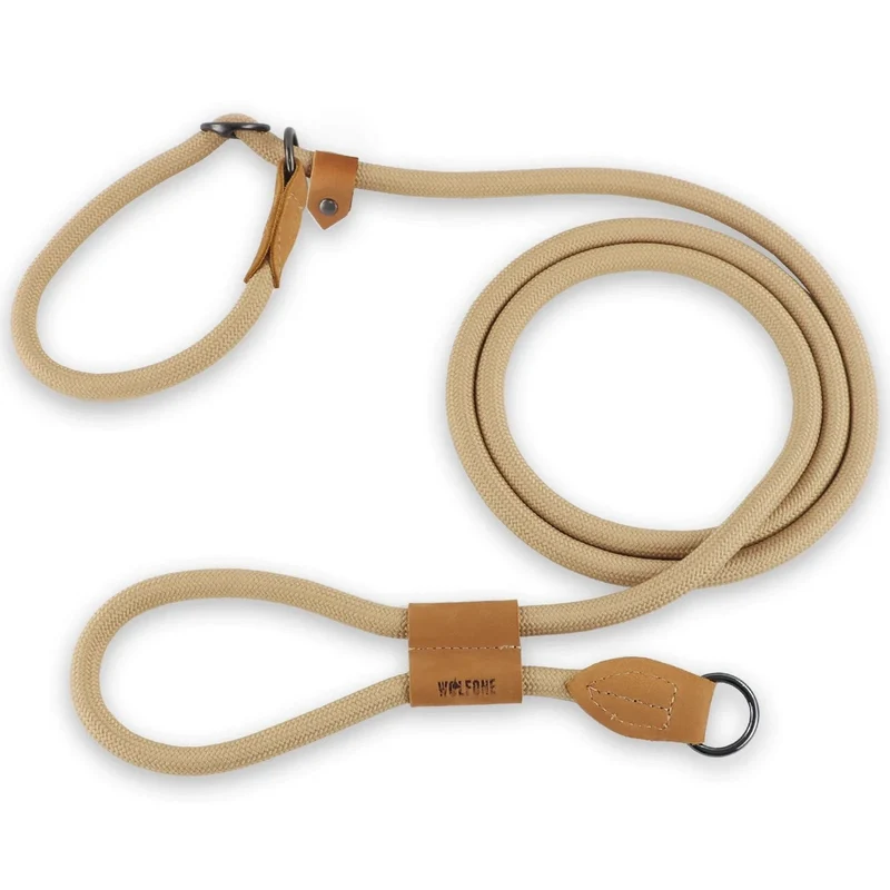 Laisse pour chien multifonctionnelle ajustable et mains libres