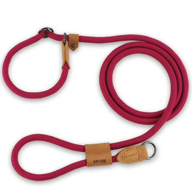 Laisse pour chien multifonctionnelle ajustable et mains libres