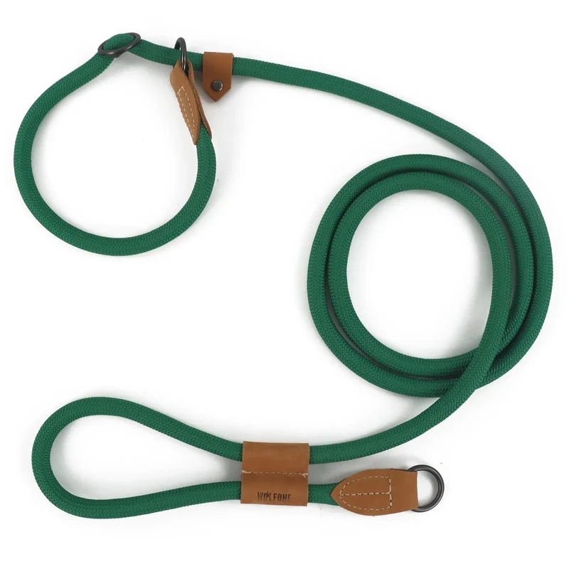 Laisse pour chien multifonctionnelle ajustable et mains libres
