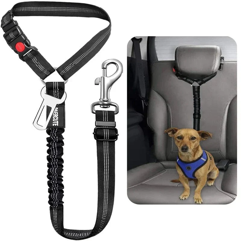 Laisse pour chien : harnais, ceinture de sécurité et accessoires