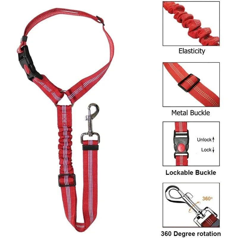 Laisse pour chien : harnais, ceinture de sécurité et accessoires