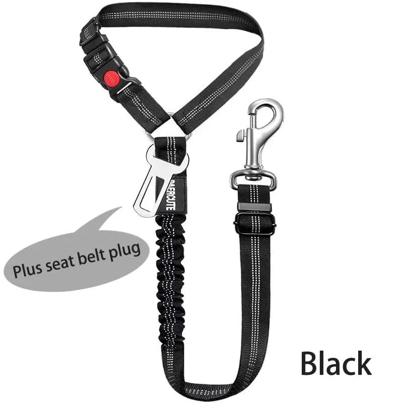 Laisse pour chien : harnais, ceinture de sécurité et accessoires
