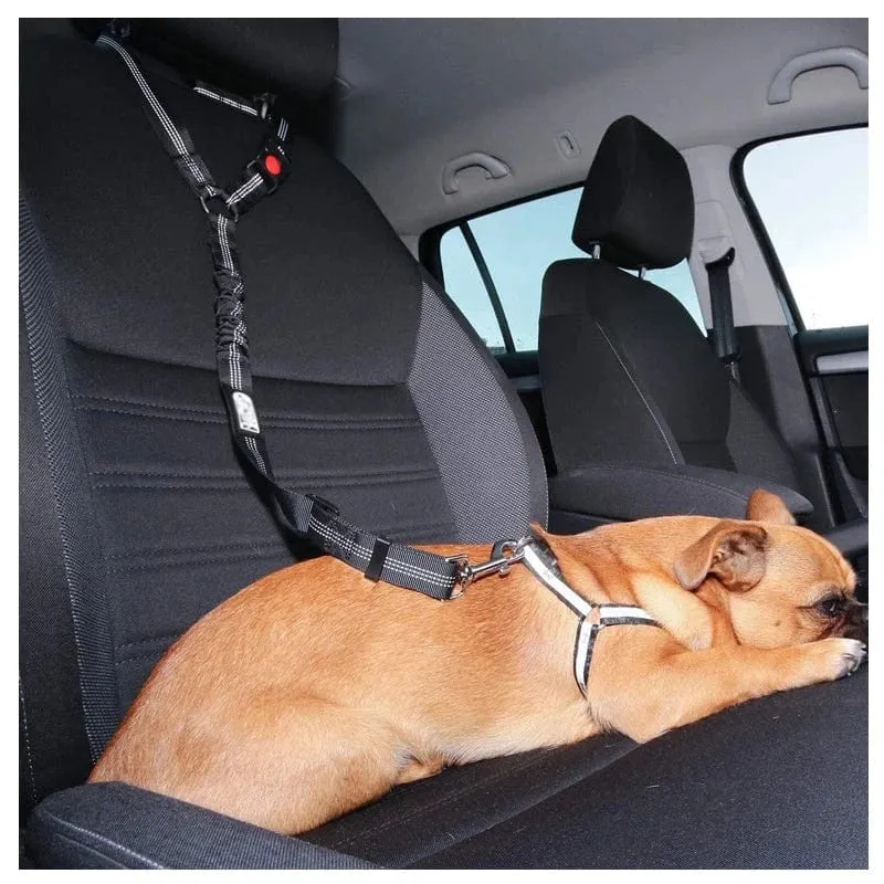 Laisse pour chien : harnais, ceinture de sécurité et accessoires