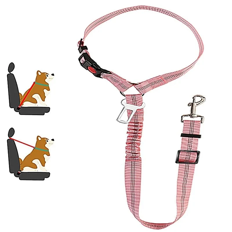 Laisse pour chien : harnais, ceinture de sécurité et accessoires