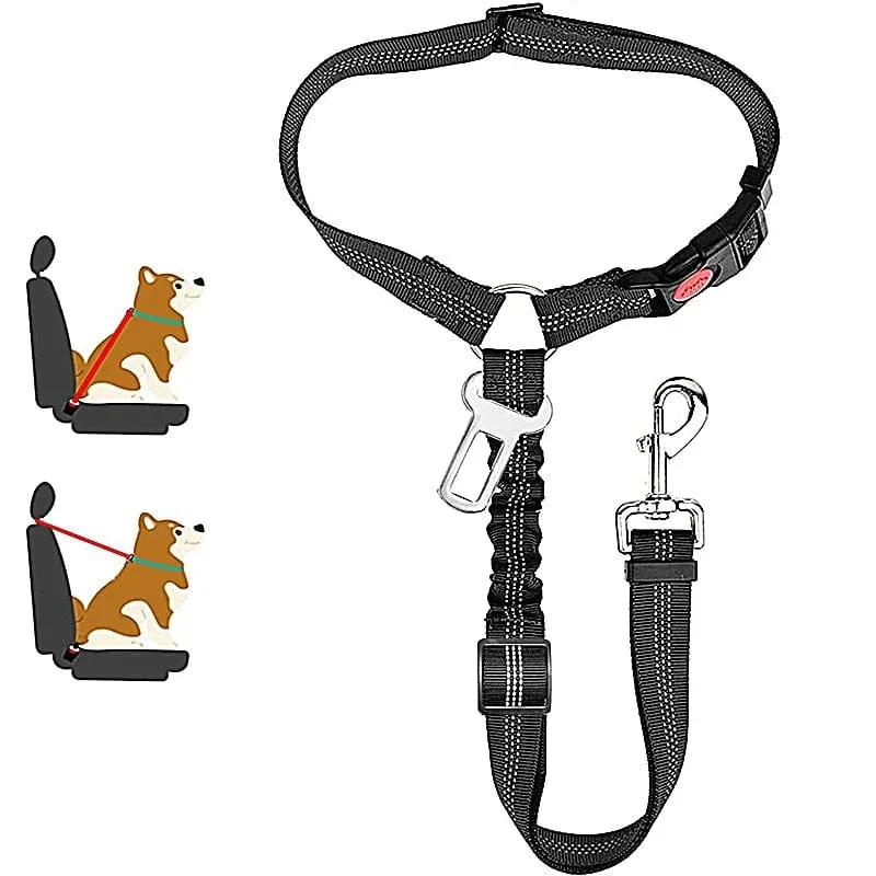 Laisse pour chien : harnais, ceinture de sécurité et accessoires