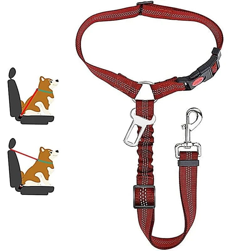 Laisse pour chien : harnais, ceinture de sécurité et accessoires
