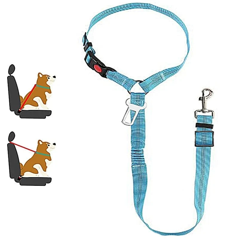 Laisse pour chien : harnais, ceinture de sécurité et accessoires