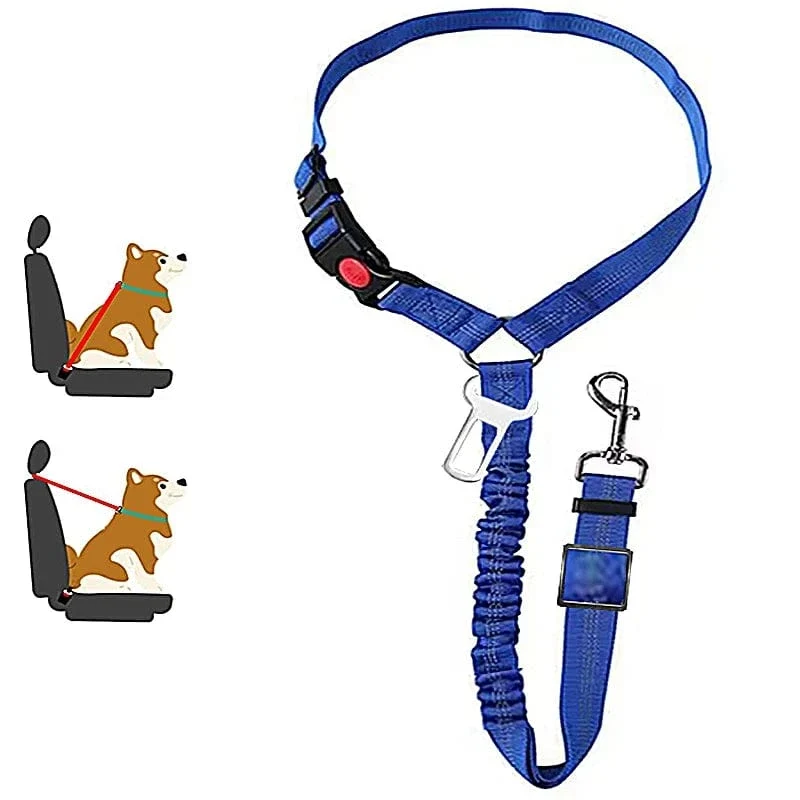 Laisse pour chien : harnais, ceinture de sécurité et accessoires