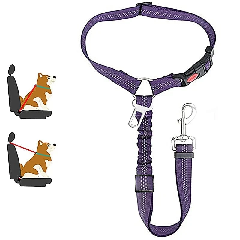 Laisse pour chien : harnais, ceinture de sécurité et accessoires