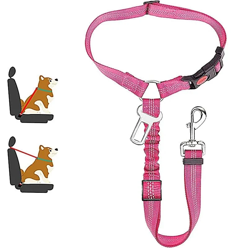 Laisse pour chien : harnais, ceinture de sécurité et accessoires