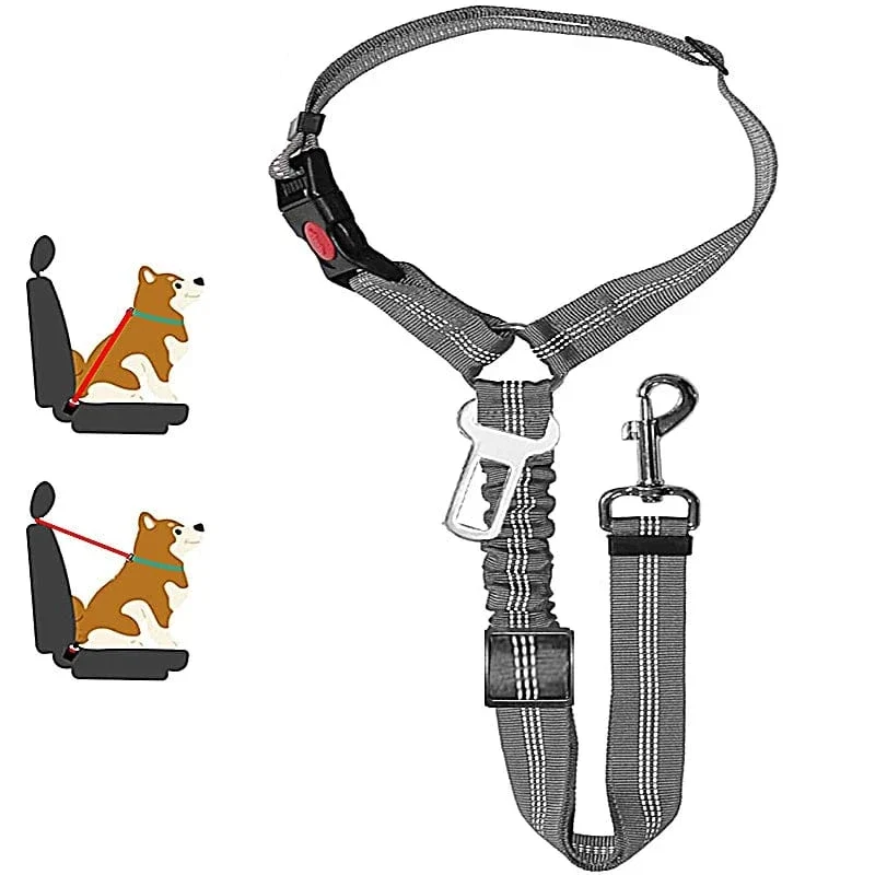 Laisse pour chien : harnais, ceinture de sécurité et accessoires