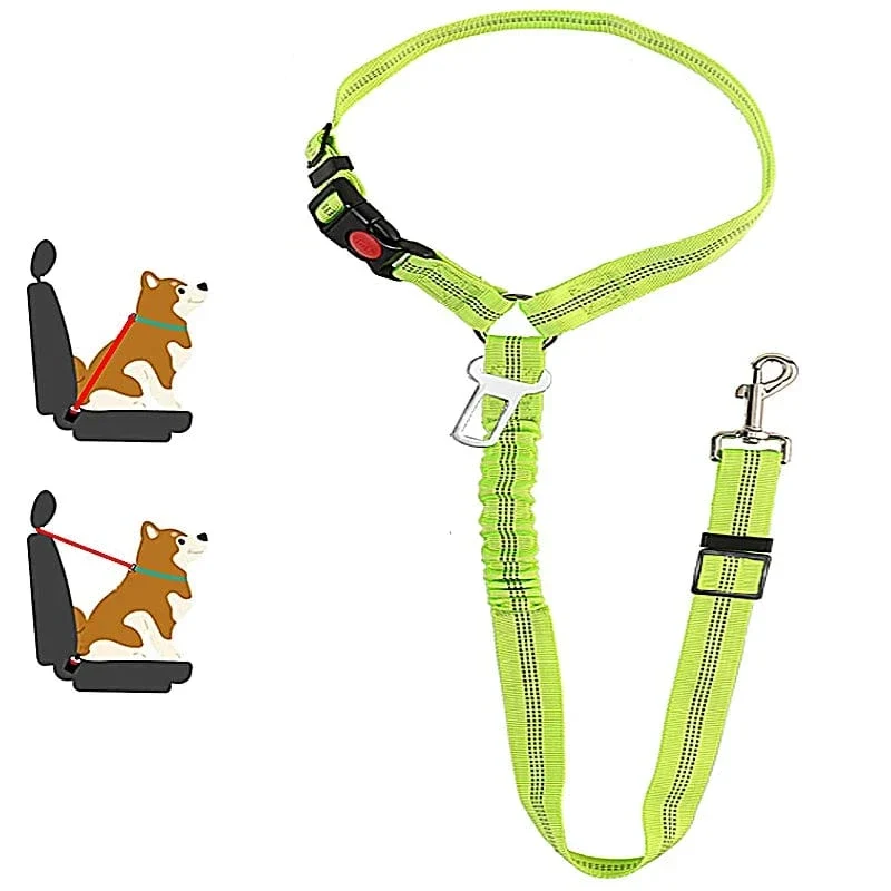 Laisse pour chien : harnais, ceinture de sécurité et accessoires