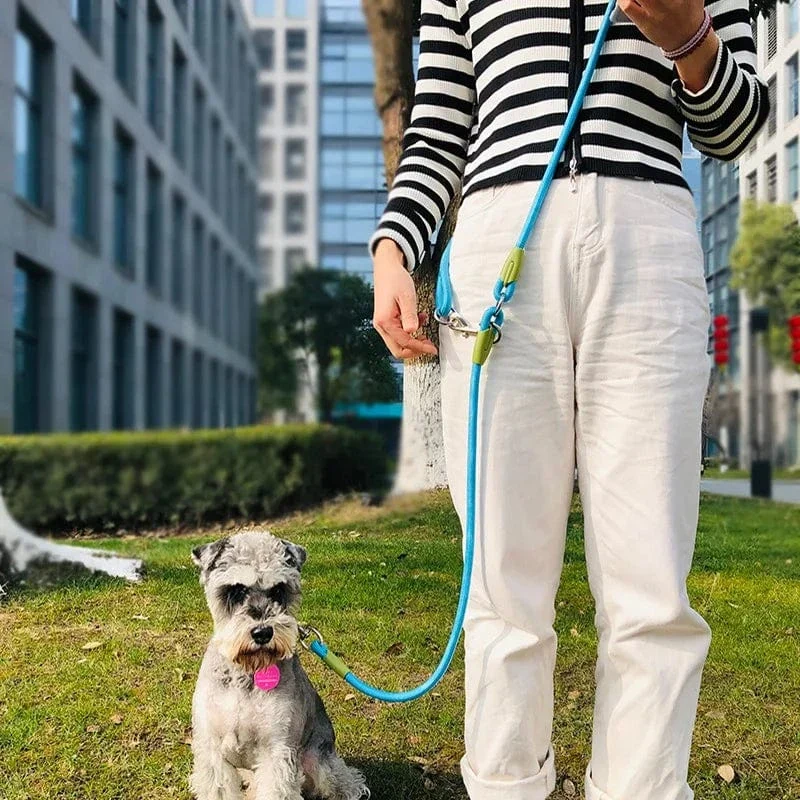 Laisse pour chien réfléchissante en nylon - Corde de traction mains libres pour tous les chiens