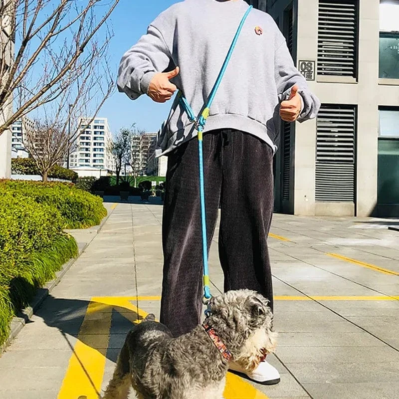 Laisse pour chien réfléchissante en nylon - Corde de traction mains libres pour tous les chiens