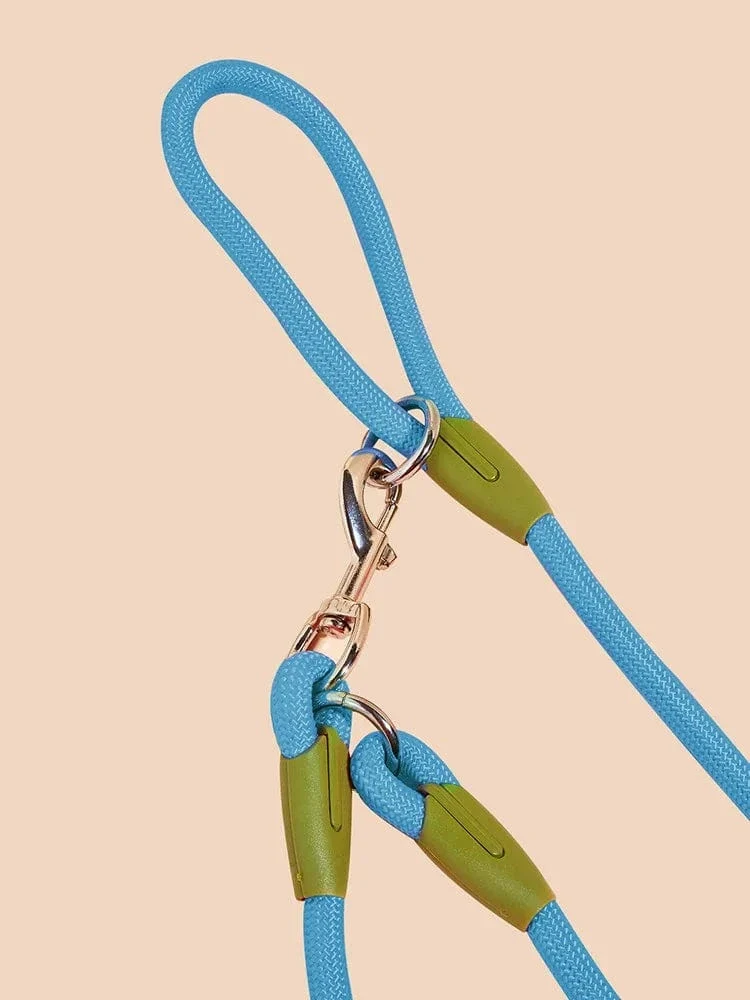 Laisse pour chien réfléchissante en nylon - Corde de traction mains libres pour tous les chiens
