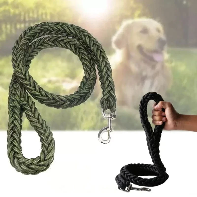 Laisse pour chien en nylon durable - Corde épaisse pour promenades sécurisées