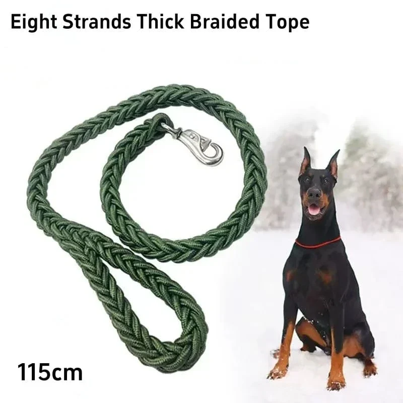 Laisse pour chien en nylon durable - Corde épaisse pour promenades sécurisées