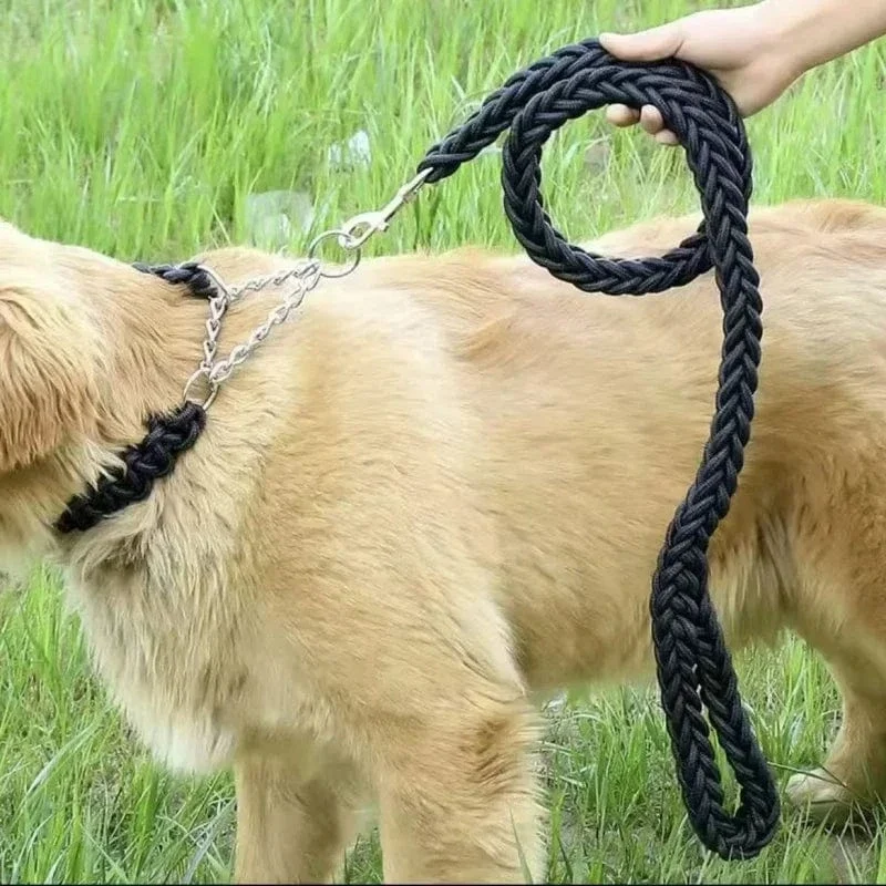 Laisse pour chien en nylon durable - Corde épaisse pour promenades sécurisées