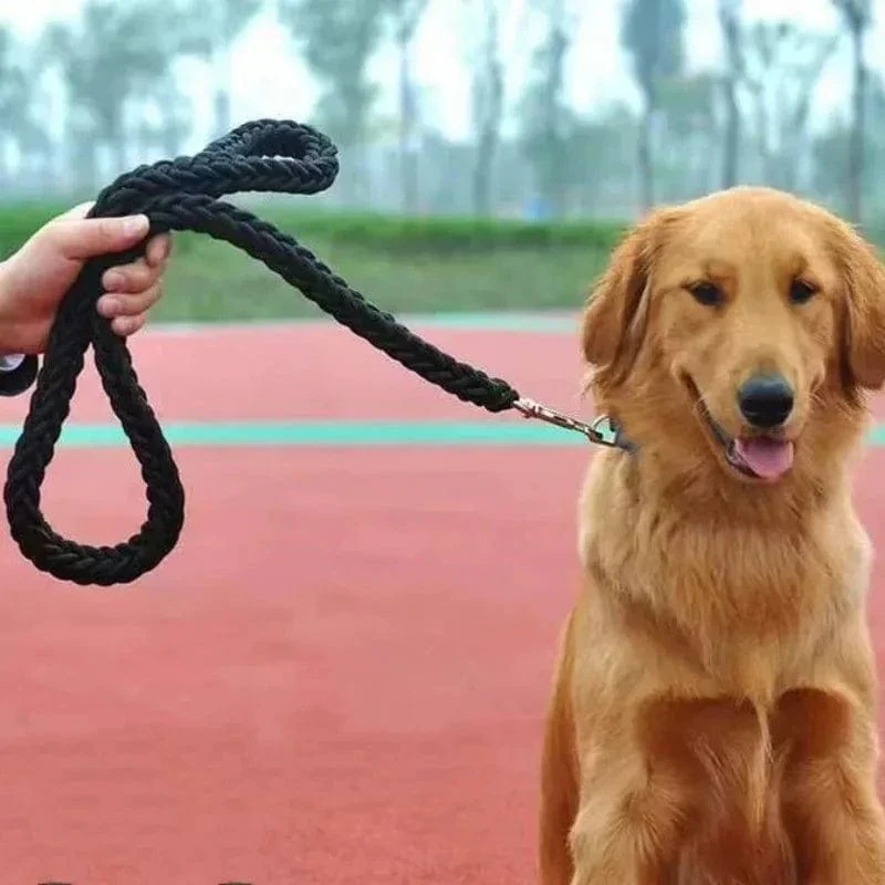 Laisse pour chien en nylon durable - Corde épaisse pour promenades sécurisées