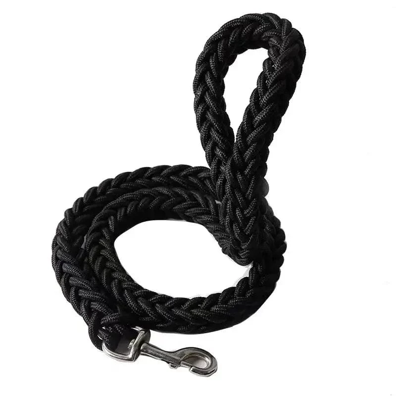 Laisse pour chien en nylon durable - Corde épaisse pour promenades sécurisées