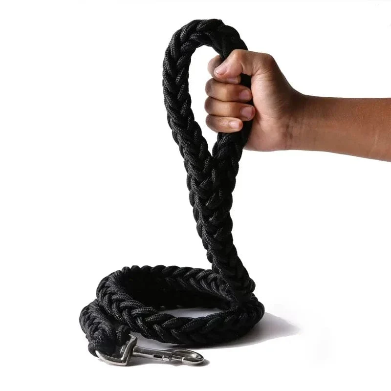 Laisse pour chien en nylon durable - Corde épaisse pour promenades sécurisées
