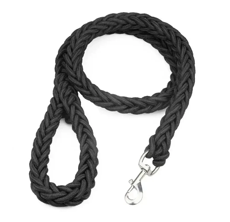 Laisse pour chien en nylon durable - Corde épaisse pour promenades sécurisées