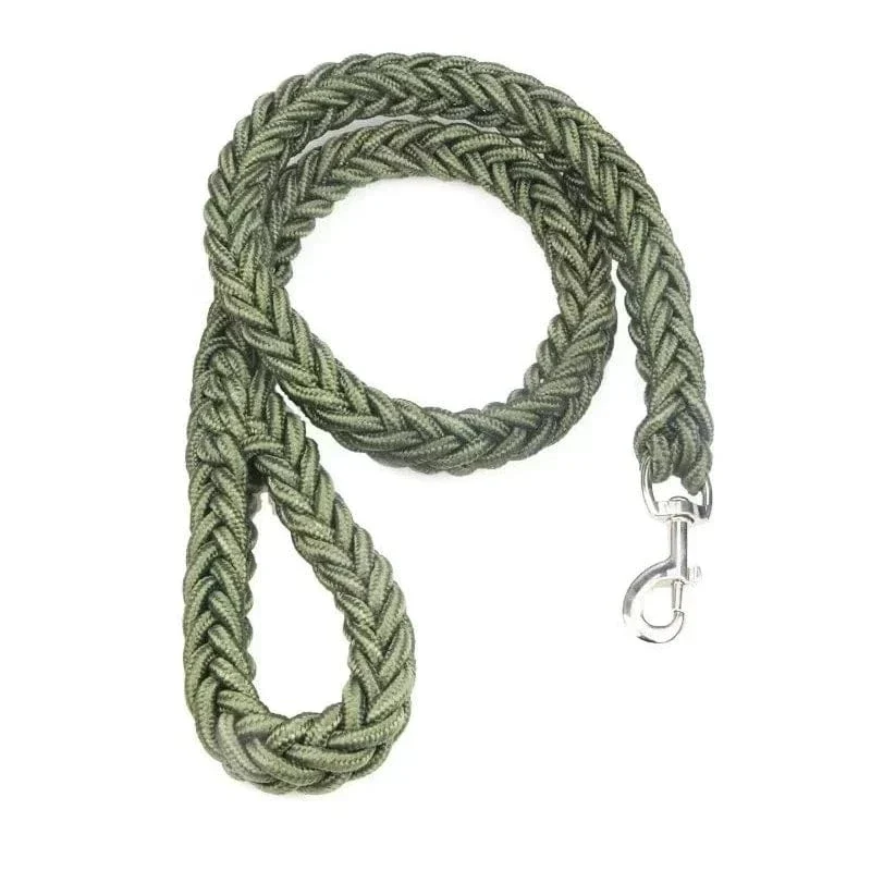 Laisse pour chien en nylon durable - Corde épaisse pour promenades sécurisées
