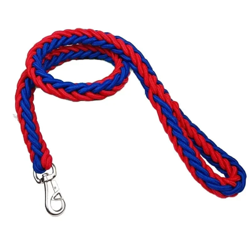 Laisse pour chien en nylon durable - Corde épaisse pour promenades sécurisées