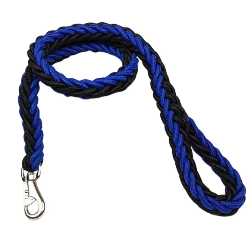 Laisse pour chien en nylon durable - Corde épaisse pour promenades sécurisées