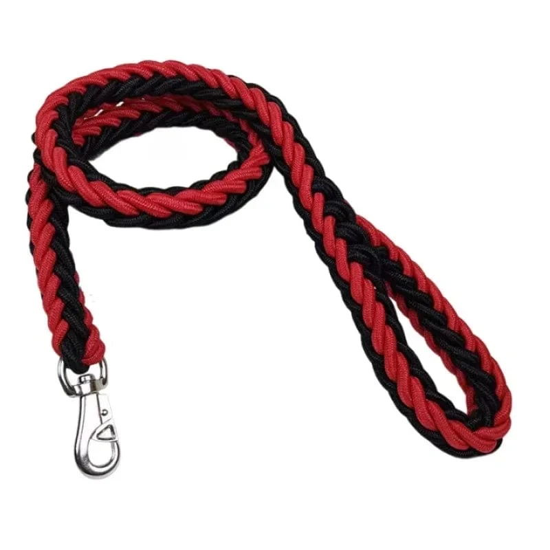 Laisse pour chien en nylon durable - Corde épaisse pour promenades sécurisées