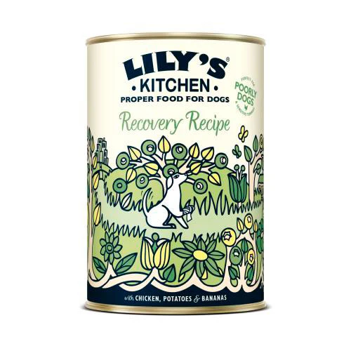 Lily´s Kitchen Recovery (ayuda digestión)