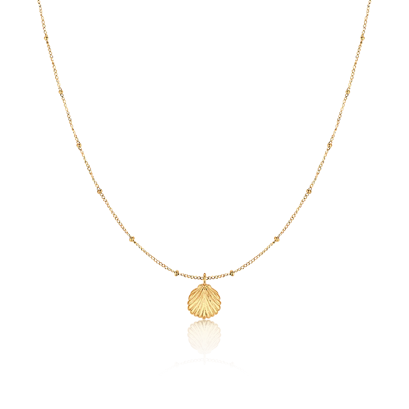 Collar Concha Marina