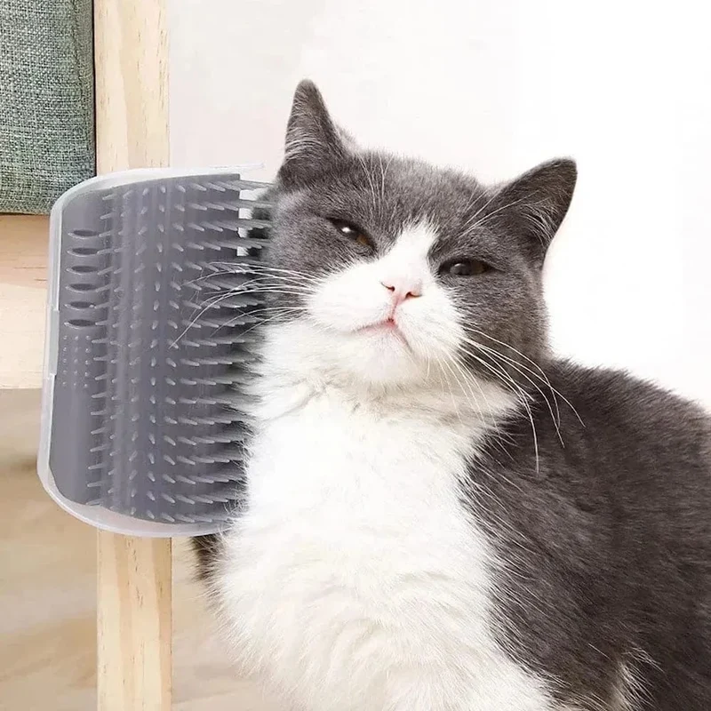 Brosse Murale Auto-Installée pour Chats avec Herbe à Chat