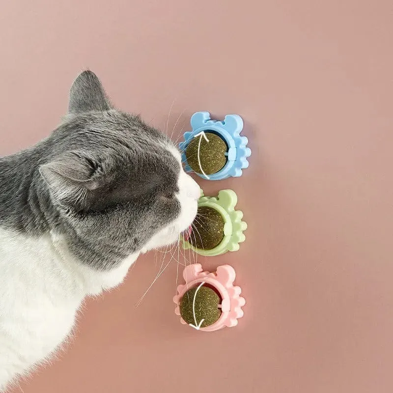 Balle à herbe à chat interactive et apaisante