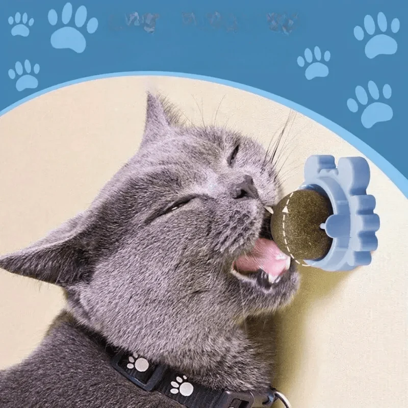 Balle à herbe à chat interactive et apaisante