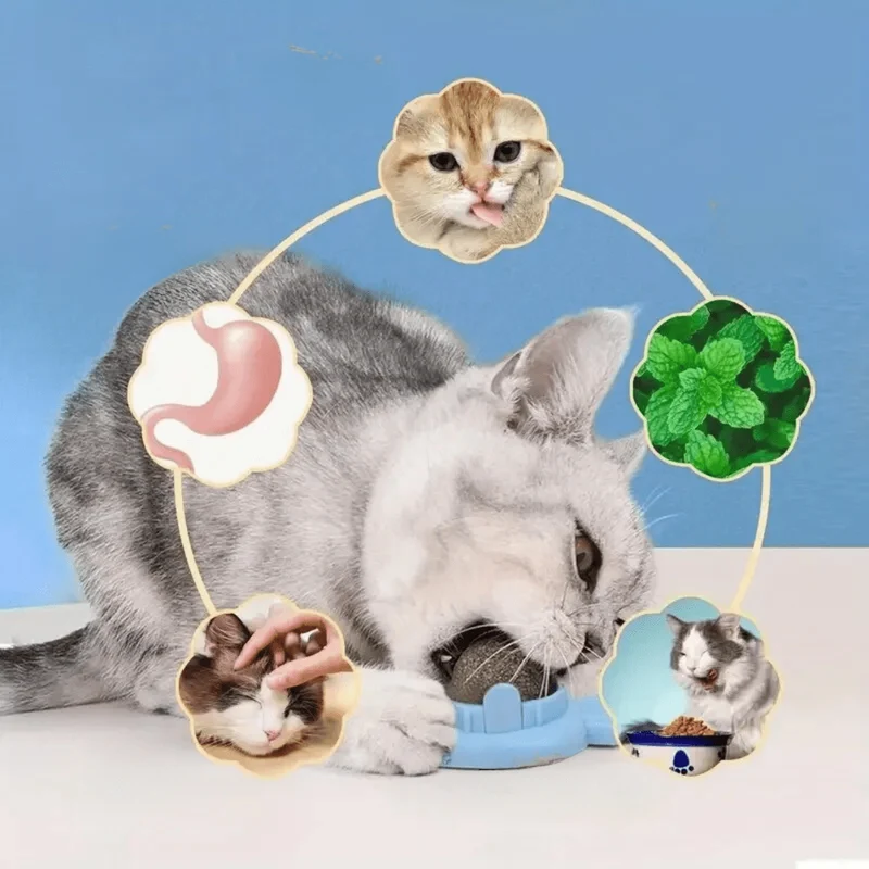 Balle à herbe à chat interactive et apaisante