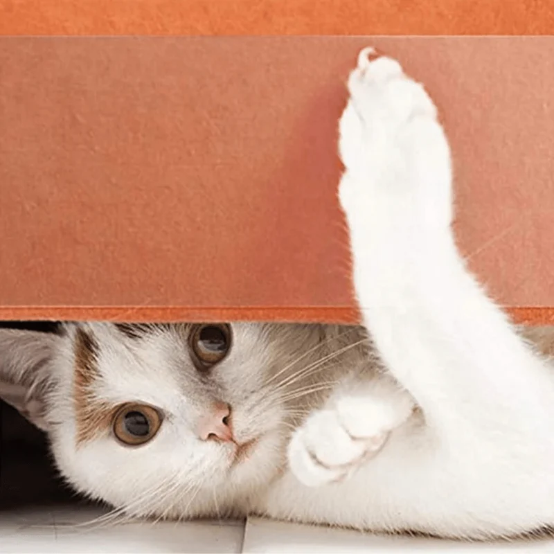 Protection Invisible pour Meubles contre Griffures
