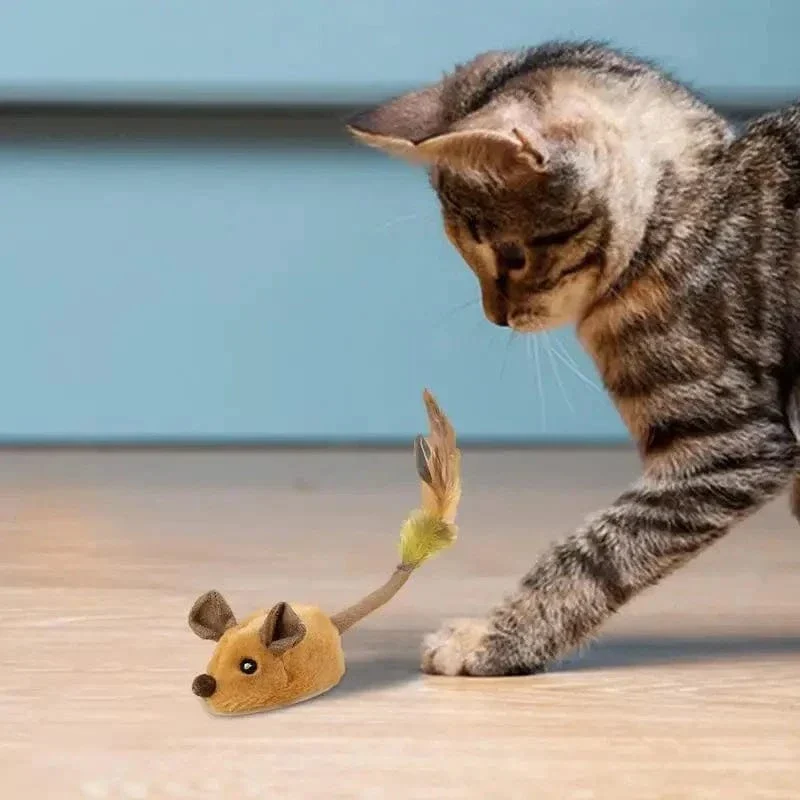 Jouet interactif en forme de souris pour chats