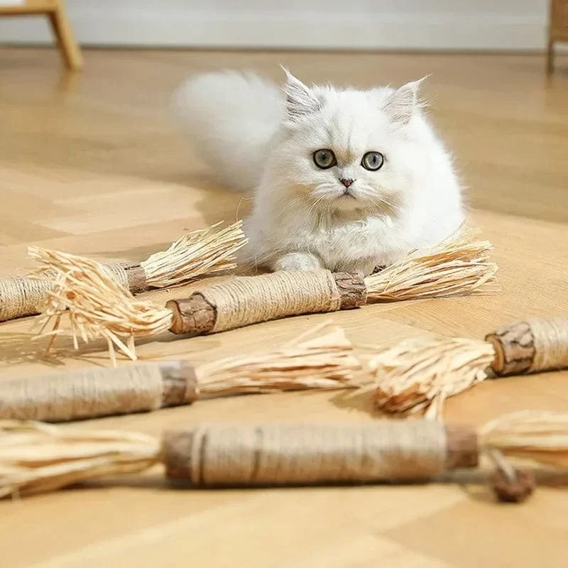 Bâtonnets dentaires naturels pour chats
